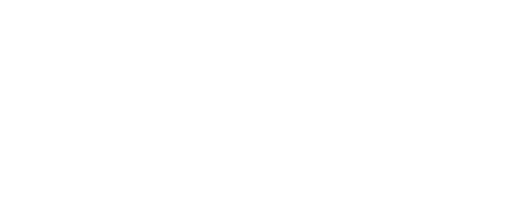 DZS